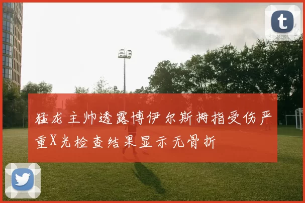 猛龙主帅透露博伊尔斯拇指受伤严重X光检查结果显示无骨折