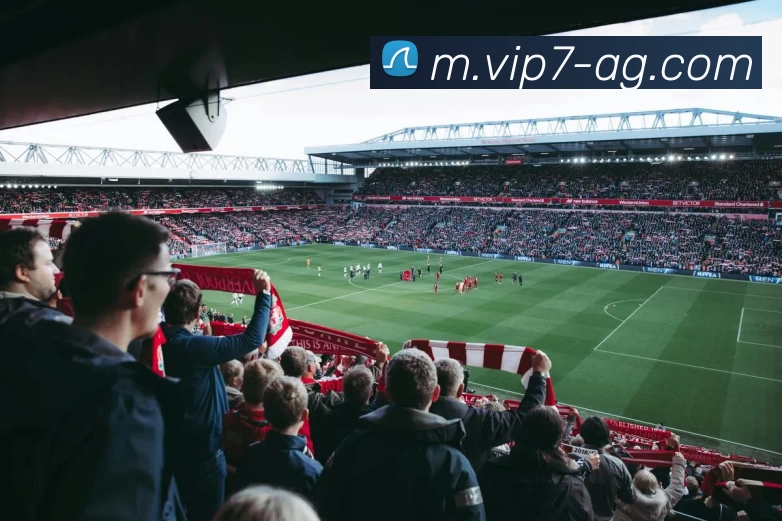 AG娱乐APP 封面图